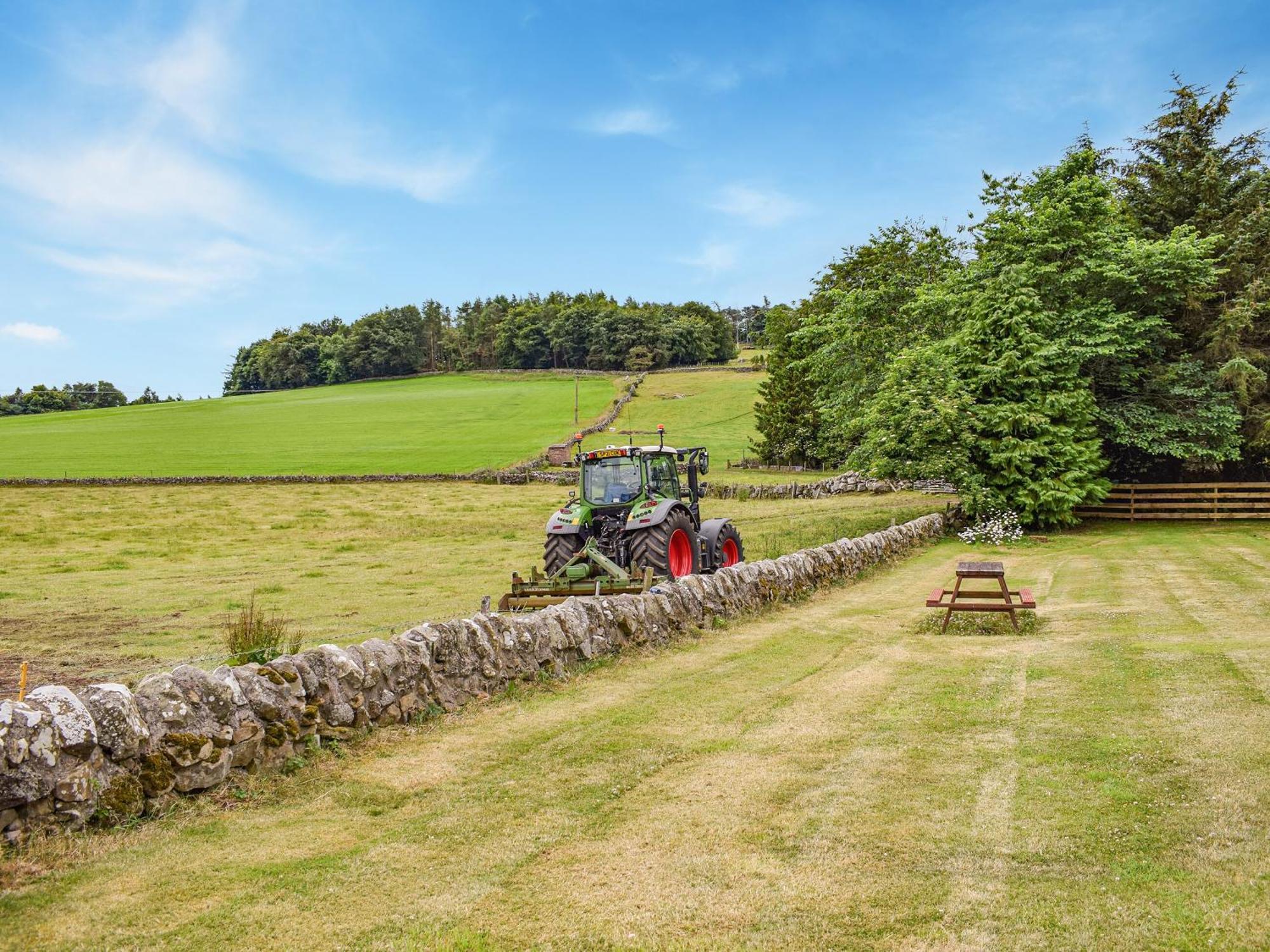Southview Cottage Cupar Buitenkant foto